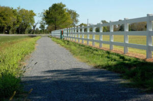 Blog 3 pikeroadtrail